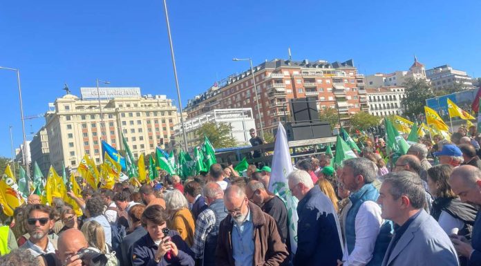 ASAJA, COAG y Unión de Uniones agradecen el comportamiento ejemplar del campo en Madrid y estudian un nuevo calendario de movilizaciones tractorada