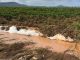Llueve sobre dañado: nuevos destrozos en los cultivos de Requena cultivos de Requena