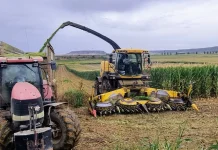 Alerta de que el cultivo del maíz en Aragón está abocado a desaparecer si no se adoptan medidas urgentes cosechadora de maíz