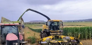 Alerta de que el cultivo del maíz en Aragón está abocado a desaparecer si no se adoptan medidas urgentes cosechadora de maíz