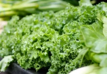 Los alimentos previstos para el reparto frente al Ministerio de Agricultura se entregarán al Banco de Alimentos escarola