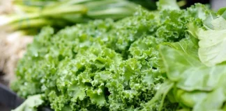 Los alimentos previstos para el reparto frente al Ministerio de Agricultura se entregarán al Banco de Alimentos escarola