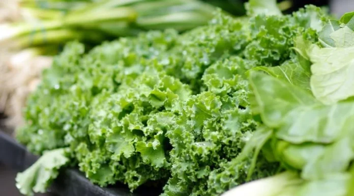 Los alimentos previstos para el reparto frente al Ministerio de Agricultura se entregarán al Banco de Alimentos escarola