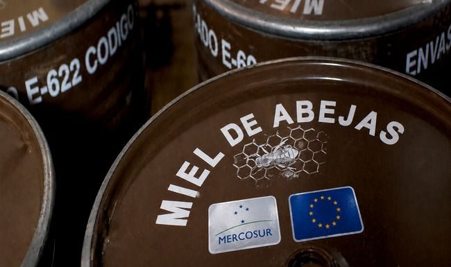 Alerta de que las importaciones de miel de Mercosur se han duplicado miel Mercosur